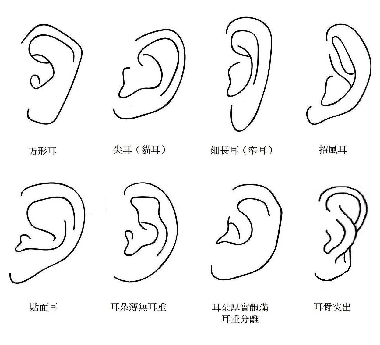 耳朵類型,耳朵類型搭配耳環,耳朵類型適合耳環,韓國耳環,夾式耳環